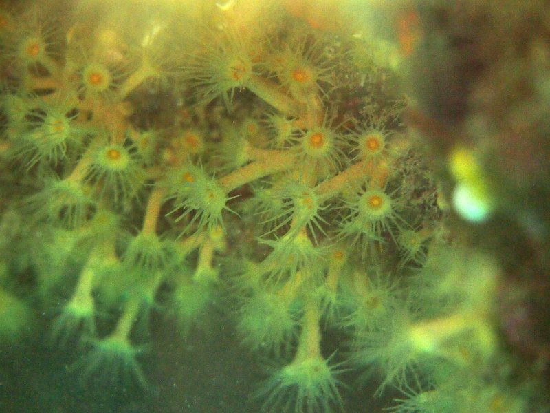 2013-06-06 11-17-18 Mary.jpg